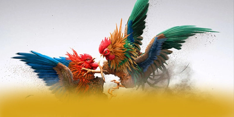 F8BET - Tổng kết — Nền tảng cá cược uy tín dành cho mọi người chơi